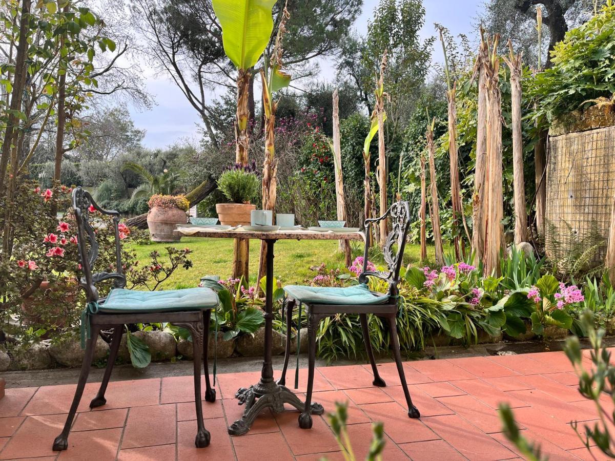 Casa Del Pino Acomodação com café da manhã Borgo a Buggiano Exterior foto